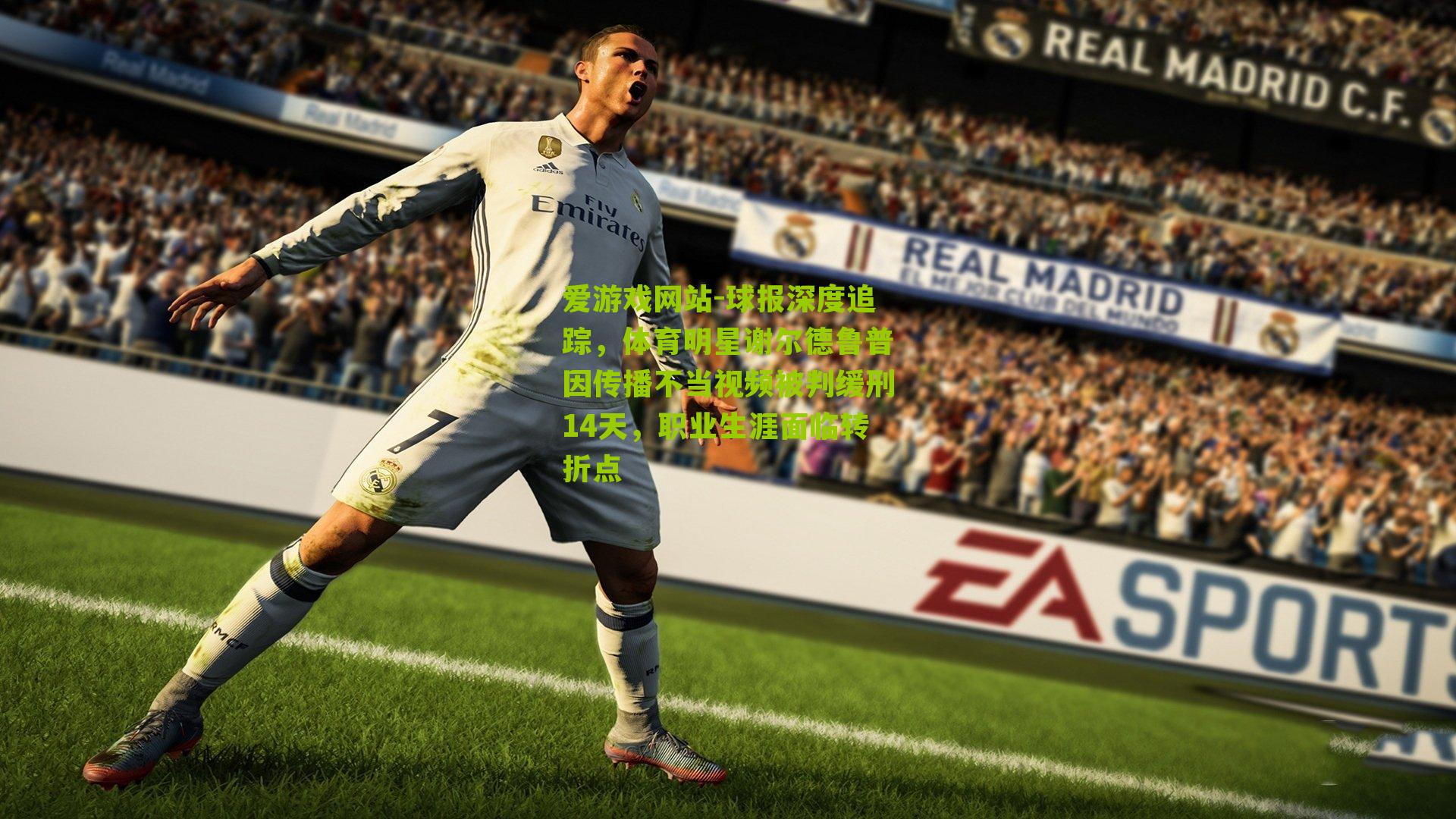 爱游戏网站-球报深度追踪，体育明星谢尔德鲁普因传播不当视频被判缓刑14天，职业生涯面临转折点